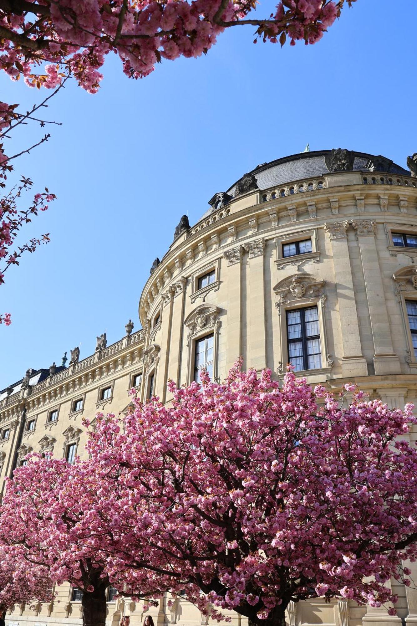 Apartament Ringpark-Ferien Würzburg Zewnętrze zdjęcie